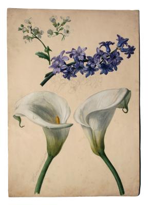paisaje_y_flores_._renovación_del_dibujo_académico_en_el_siglo_xix