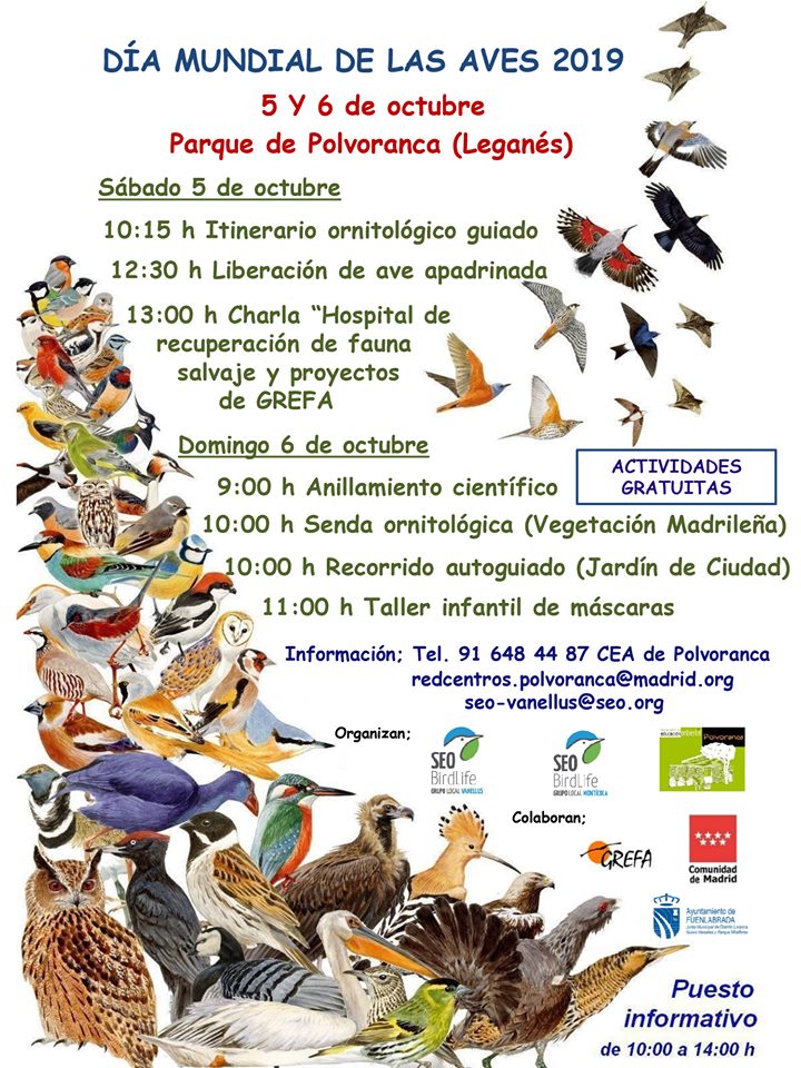 día_mundial_de_las_aves