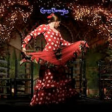 tablao_flamenco_torres_bermejas