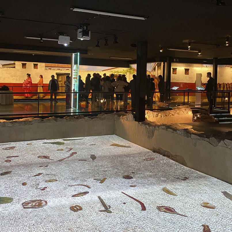 visita_guiada_a_la_casa_de_los_delfines_y_a_la_casa_de_la_hiedra_10:30_h