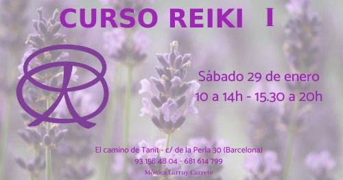 curso:_reiki_i