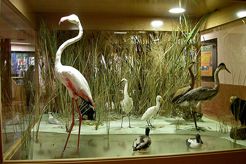 museo_de_la_biodiversidad