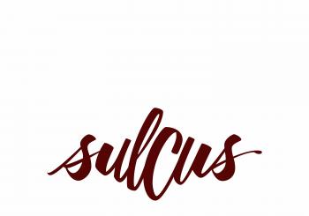 sulcus_-_presentación_de_disco_en_madrid