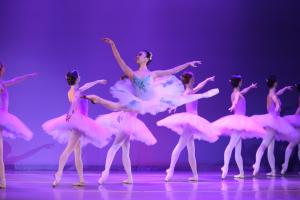 don_quijote._ballet_de_catalunya