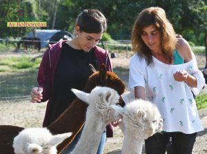 jornadas_de_convivencia_'la_vida_en_la_granja'