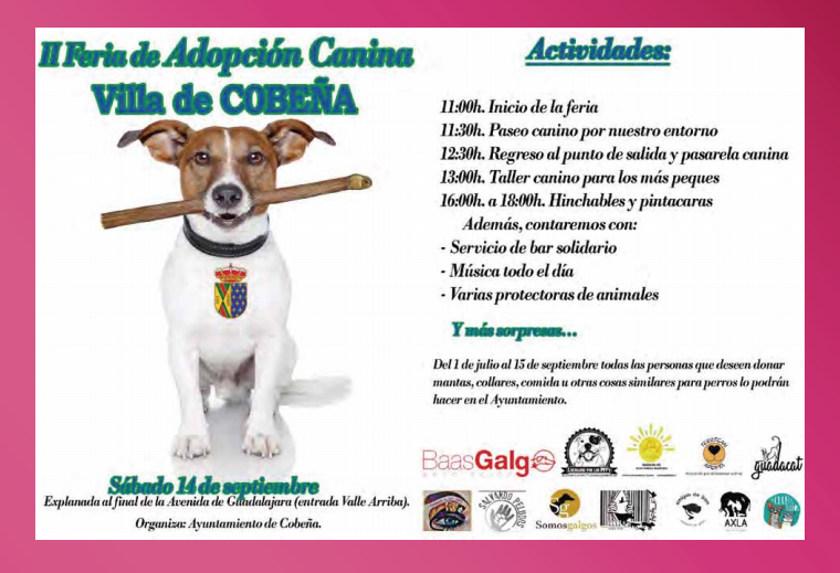 Grado Celsius Extremo Polinizador II Feria de Adopción Canina Villa de Cobeña en Cobeña (Madrid) - Imjoying