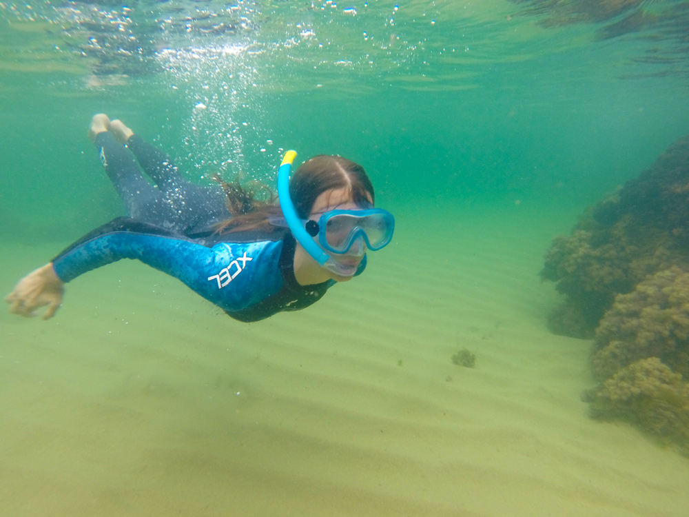 snorkel