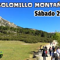 xvii_ruta_del_solomillo_montañero_ii