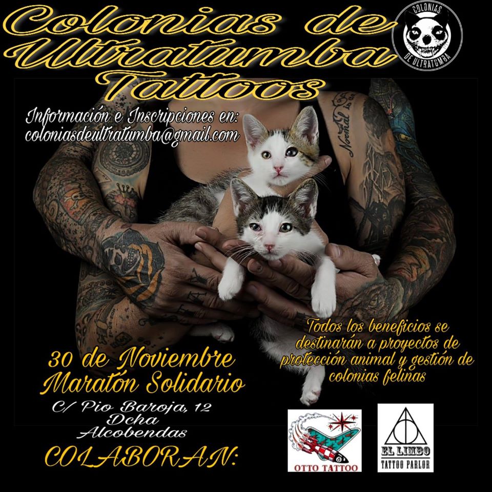 maratón_de_tatuajes_solidarios_por_los_gatos
