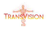 transvision_en_madrid