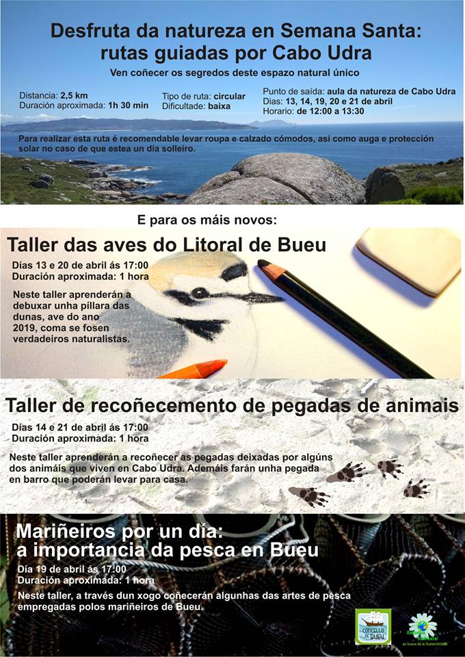 taller_das_aves_do_litoral