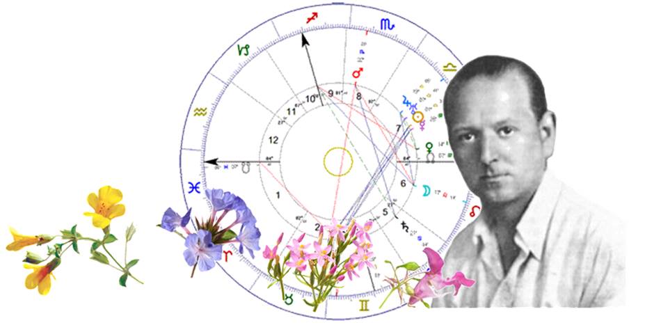 curos_carta_natal_y_flores_de_bach