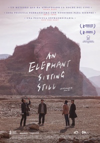 an_elephant_sitting_still