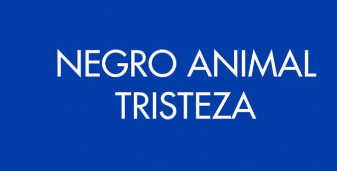 Negro Animal Tristeza en Madrid (Madrid) - Imjoying