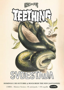 teething_+_svdesatada_/_violence_in_the_veins_sessions