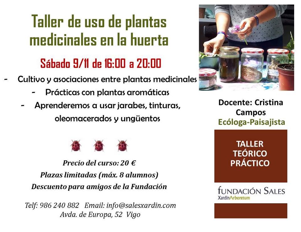 Taller De Uso De Plantas Medicinales En La Huerta En Vigo