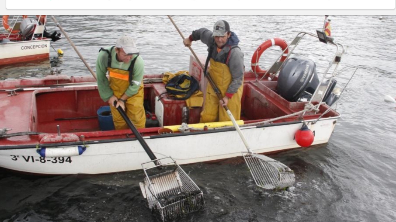 ruta_do_marisqueo_a_flote