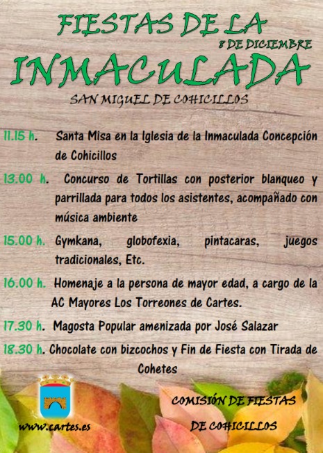 cartes inmaculada san miguel cohicillos.jpg